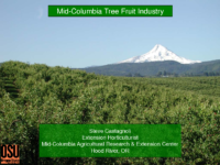 01 Steve Castagnoli Hood River Fruit Tree Industry