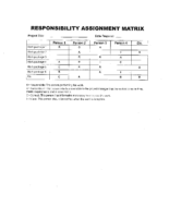 2 23 Pcoe Responsibility Assignment Matrix