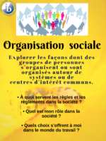 Copy Of Organisation Sociale