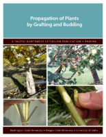 Propagation Of Plants By Budding And Grafting