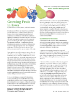 Ultimate Iowa Fruit And Berry Growing Guide