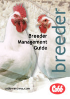 Breeder Management Guidebee76F35761727C48Cb222Ed86A53Af1D3F5E3D9538726Ba