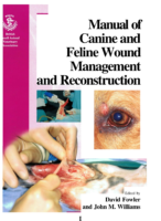Bsava Manual Of Canine And Feline Wound Management And Reconstruction