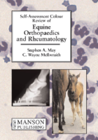 Equine Orthopaedics And Rheumatology