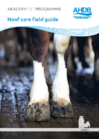 Hoof Care Guide (Web) (1)