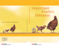 Important Poultry Diseases 060058 Cpc Website