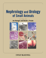 Nephrology And Urology Of Small Animals