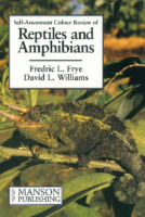 Reptiles And Amphbians