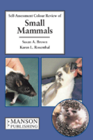 Small Mammals