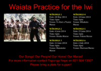 Waiata Wananga