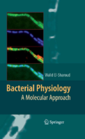 Bacterial Psysiology. A Molecular Approach