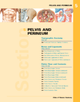 Atlas Human Anatomy Perineum & Pelvis