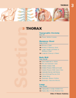 Atlas Human Anatomy Thorax