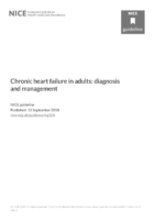 Chronic Heart Failure İn Adults Diagnosis And Management Pdf 66141541311685