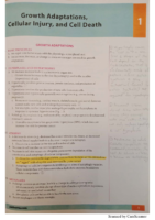 Pathoma Annotated And Highlighted