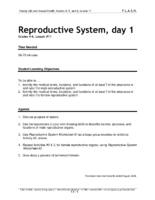 Anatomy & Physiology Human Redproductive System Worksheet And Answer Key