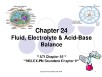 Ch 24 Fluids And Electrolytes