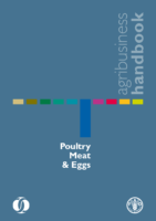 Poultry Meat And Egg