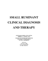 Small Ruminant Clinical Diagnosis And Therapy 2001