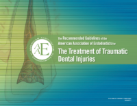 Aae Trauma Guidelines Sept 2013 (1)