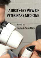 A Bird Eye View Of Veterinary Medicine
