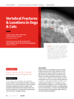 Ask Vertebral Fractures & Luxations İn Dogs & Cats