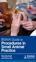 Bsava Guide To Procedures İn Small Animal Practice