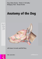 Budras Anatomy Of The Dog