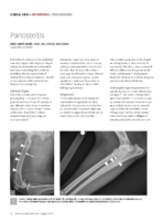 Cv Panosteitis