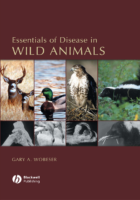 Essentials Of Disease İn Wild Animals