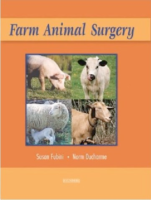 Farm Animal Surgery