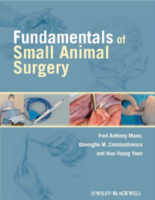 Fundamentals Of Small Animal Surgery