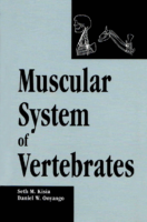 Muscular System Of Vertebrates