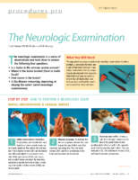 Neurologıcal Examınatıon Of Dog