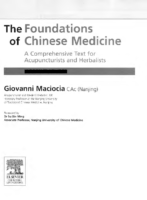 The Foundation Of Chinese Medicine