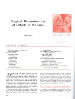 28 Surgical Reconstruction Of Defects Of The Jaw