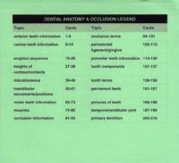Dental Anatomy And Occlusion