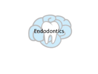 Endodontics Notes
