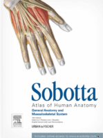 Sobotta Atlas Of Human Anatomy 15Th Edition Vol 1