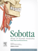 Sobotta Atlas Of Human Anatomy 15Th Edition Vol 3