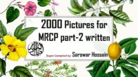 2000 Picture For Mrcp 2 Dr Sarowar