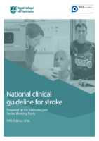 2016 National Clinical Guideline For Stroke 5Th Edition