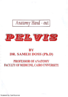 Anatomy Sd Pelvis Sameh Doss