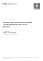 Antenatal And Postnatal Mental Health