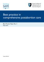 Best Practice Paper 3