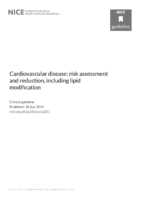 Cardiovascular Disease Risk Assessment And Reduction Including Lipid Modification