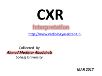 Chest X Ray Interpretation 1