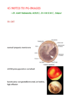 Ent Images (All In One Merged)