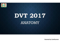Anatomy Dvt 2017