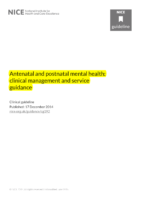 Antenatal And Postnatal Mental 2014
